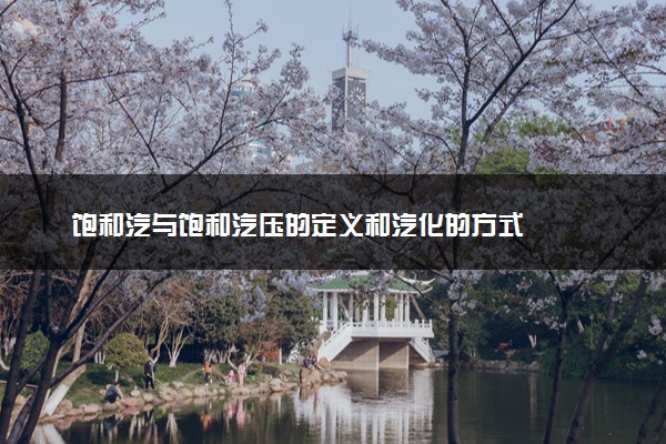 饱和汽与饱和汽压的定义和汽化的方式