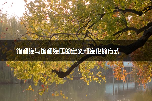 饱和汽与饱和汽压的定义和汽化的方式