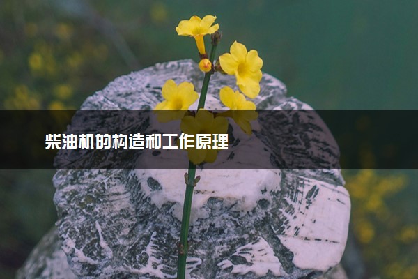 柴油机的构造和工作原理