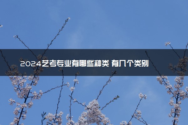 2024艺考专业有哪些种类 有几个类别