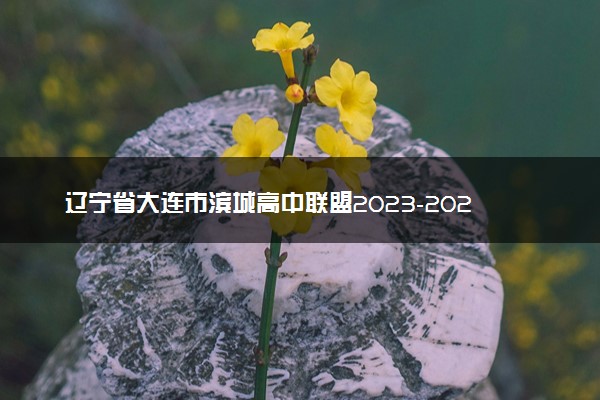 辽宁省大连市滨城高中联盟2023-2024学年高三上学期期中（Ⅱ）考试高三数学答案