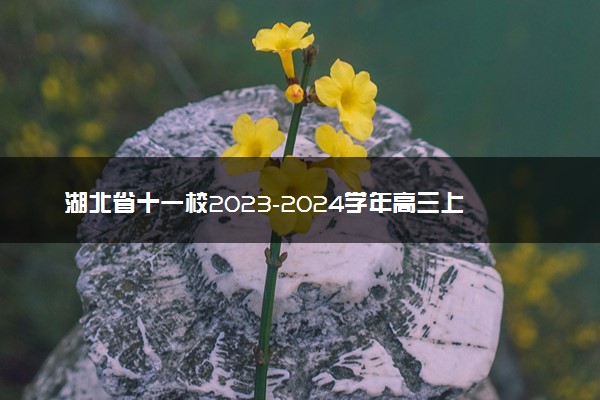湖北省十一校2023-2024学年高三上学期第一次联考+数学