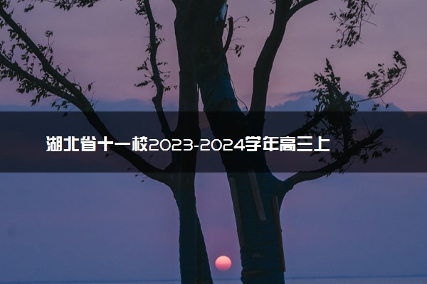 湖北省十一校2023-2024学年高三上学期第一次联考+语文