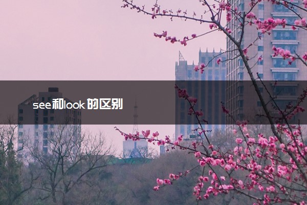 see和look的区别