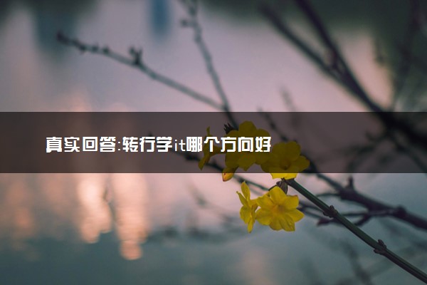 真实回答：转行学it哪个方向好