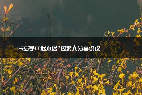 16岁学IT迟不迟？过来人分享说说