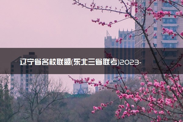 辽宁省名校联盟（东北三省联考）2023-2024学年高三上学期12月月考化学试题