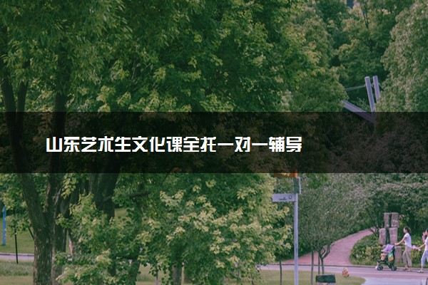 山东艺术生文化课全托一对一辅导