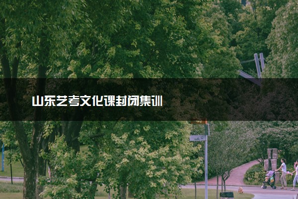 山东艺考文化课封闭集训