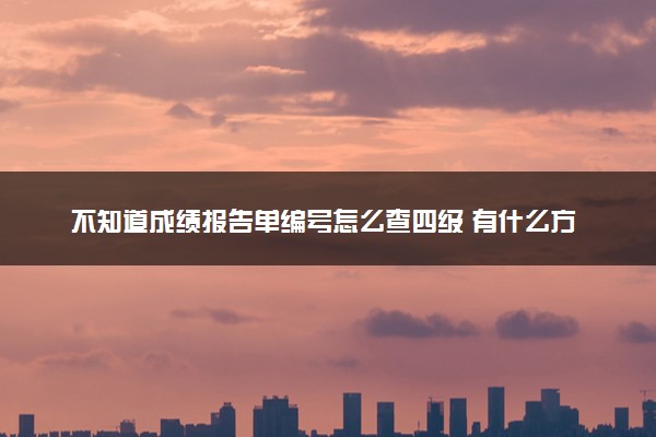 不知道成绩报告单编号怎么查四级 有什么方法