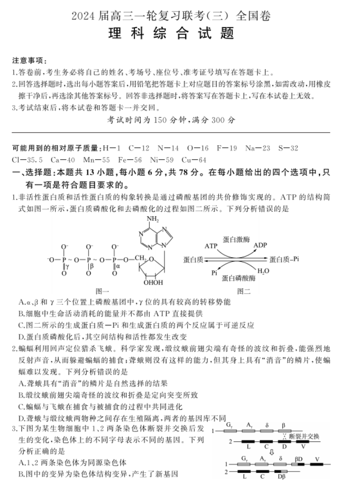 全国卷百师联盟2024高三12月联考三理综试题及答案解析