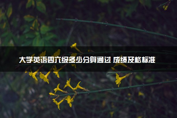 大学英语四六级多少分算通过 成绩及格标准