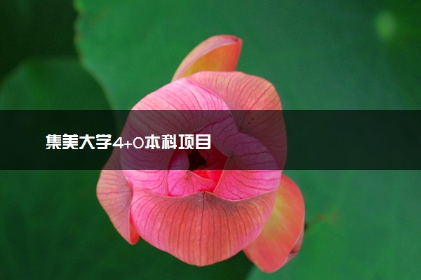 集美大学4+0本科项目