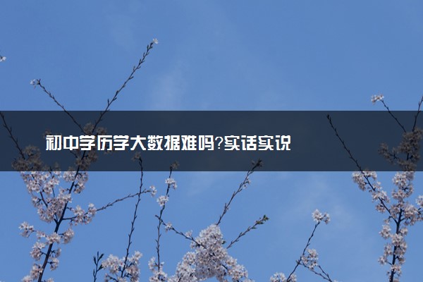 初中学历学大数据难吗？实话实说