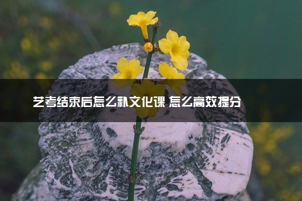艺考结束后怎么补文化课 怎么高效提分