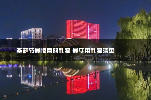 圣诞节最惊喜的礼物 最实用礼物清单