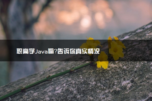 职高学Java嘛？告诉你真实情况