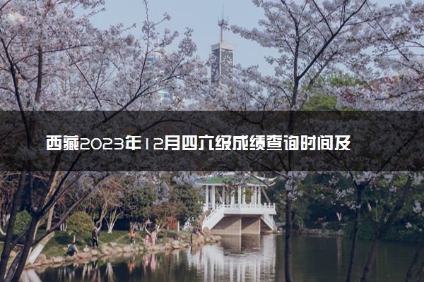 西藏2023年12月四六级成绩查询时间及入口 多久出分
