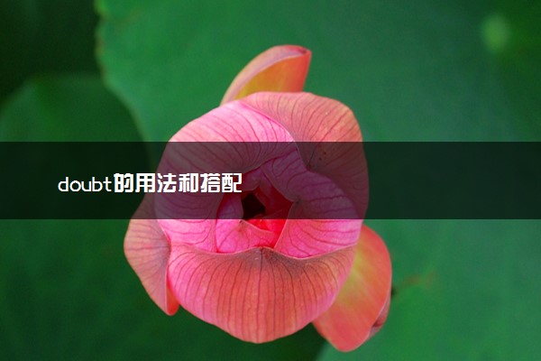 doubt的用法和搭配