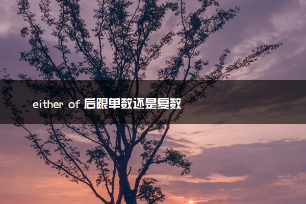 either of 后跟单数还是复数