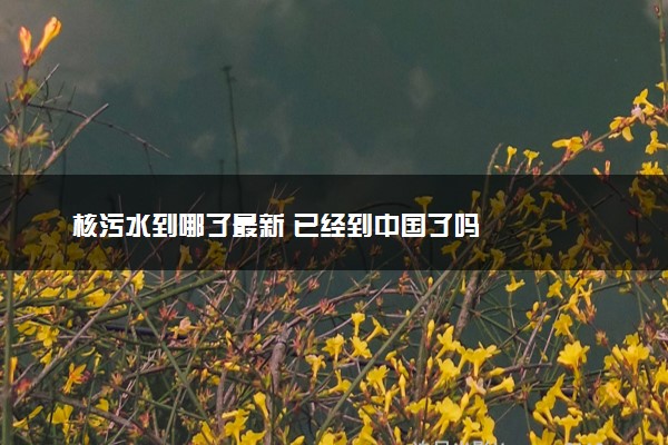 核污水到哪了最新 已经到中国了吗
