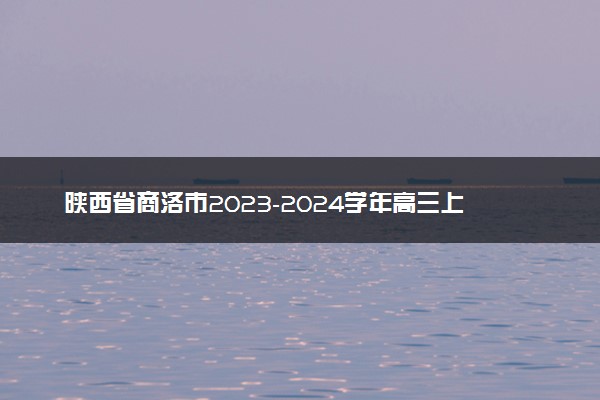陕西省商洛市2023-2024学年高三上学期12月月考文科数学答案
