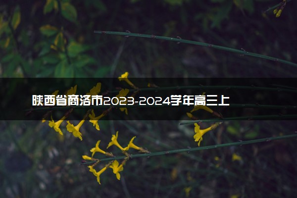 陕西省商洛市2023-2024学年高三上学期12月月考理科数学答案