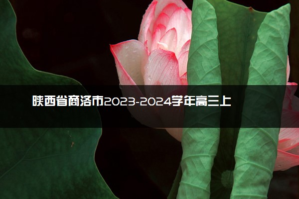 陕西省商洛市2023-2024学年高三上学期12月月考理科综合答案
