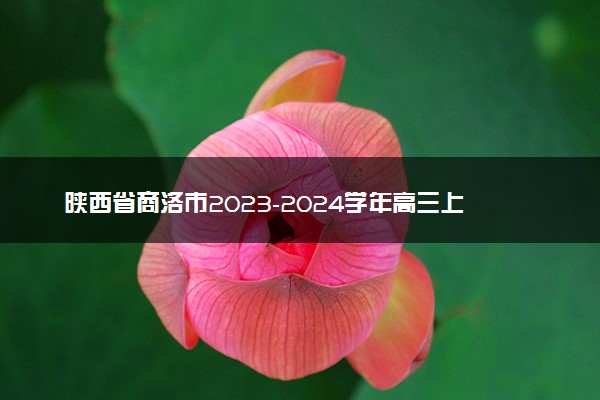 陕西省商洛市2023-2024学年高三上学期12月月考理科数学试题