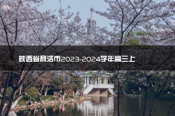 陕西省商洛市2023-2024学年高三上学期12月月考文科数学试题