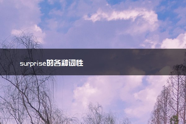 surprise的各种词性