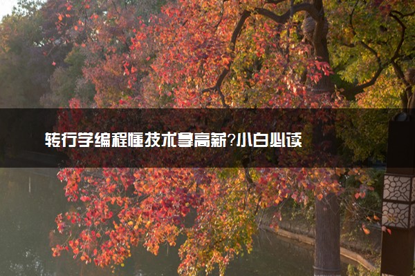 转行学编程懂技术拿高薪？小白必读