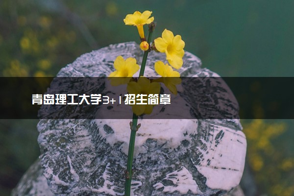 青岛理工大学3+1招生简章
