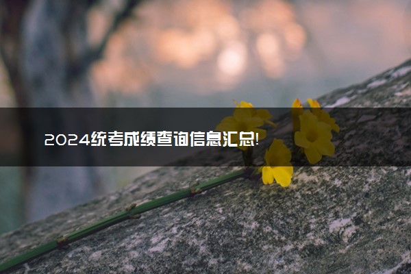 2024统考成绩查询信息汇总！