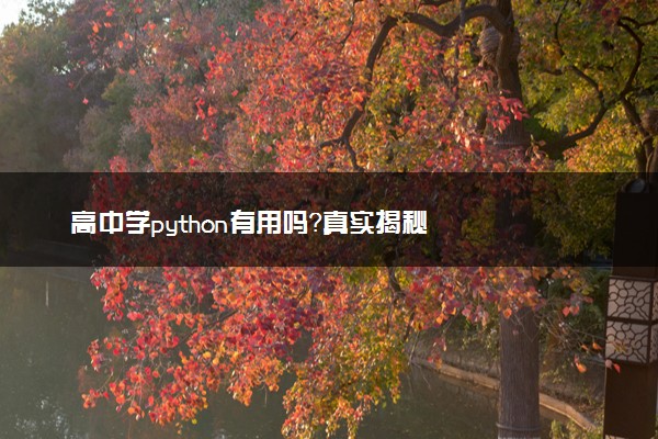 高中学python有用吗？真实揭秘