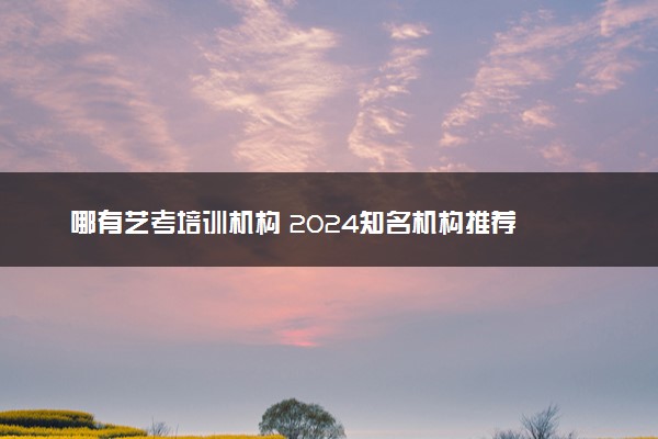 哪有艺考培训机构 2024知名机构推荐