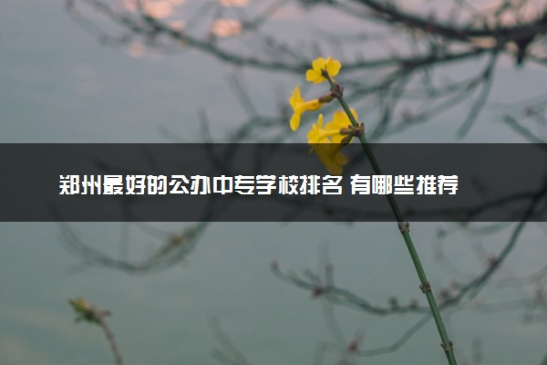郑州最好的公办中专学校排名 有哪些推荐