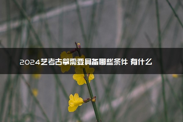 2024艺考古筝需要具备哪些条件 有什么要求