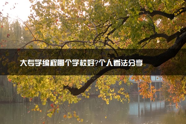 大专学编程哪个学校好？个人看法分享
