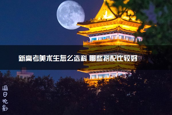新高考美术生怎么选科 哪些搭配比较好