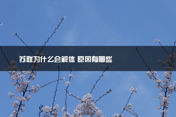 苏联为什么会解体 原因有哪些