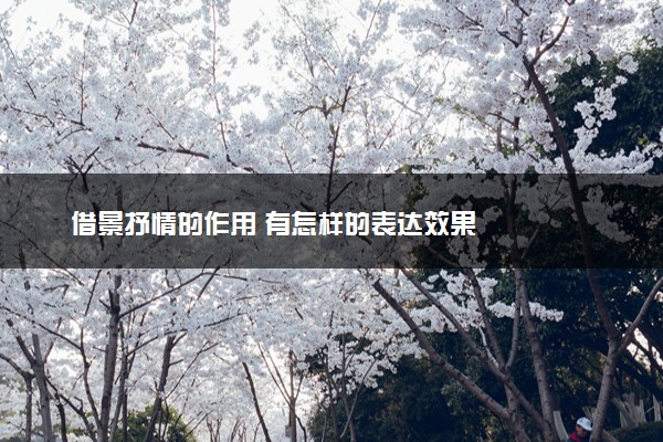 借景抒情的作用 有怎样的表达效果