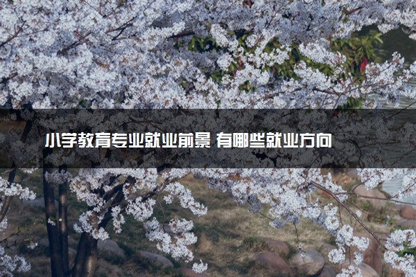 小学教育专业就业前景 有哪些就业方向
