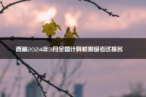 西藏2024年3月全国计算机等级考试报名时间 几号截止
