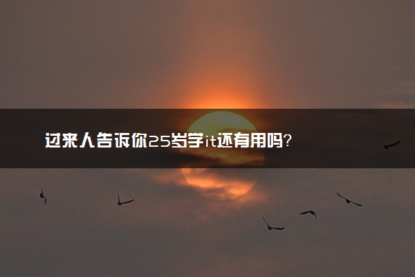 过来人告诉你25岁学it还有用吗？