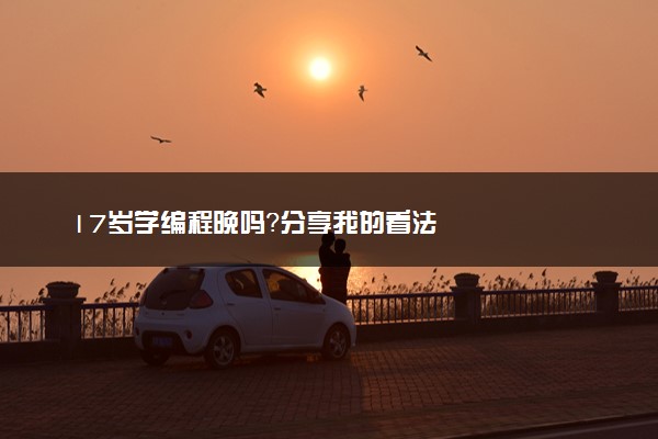 17岁学编程晚吗？分享我的看法