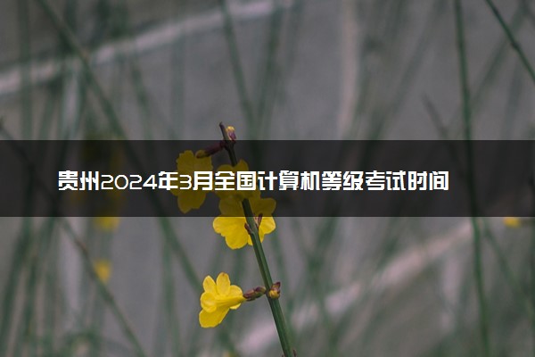 贵州2024年3月全国计算机等级考试时间 几号考试