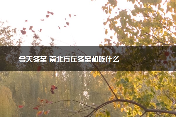 今天冬至 南北方在冬至都吃什么