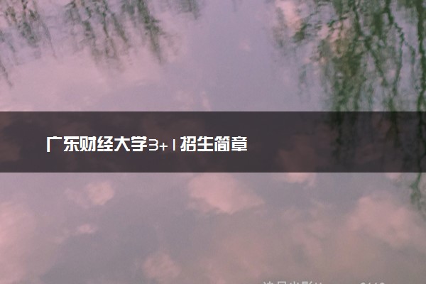 广东财经大学3+1招生简章