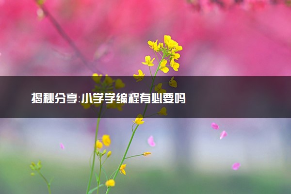 揭秘分享：小学学编程有必要吗